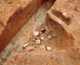 FileNo.164-164.jpg