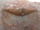 FileNo.164-166.jpg
