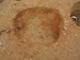 FileNo.164-167.jpg
