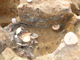 FileNo.164-172.jpg