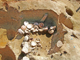 FileNo.164-173.jpg