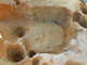 FileNo.164-174.jpg