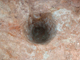FileNo.164-176.jpg