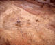 FileNo.164-181.jpg