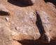 FileNo.164-202.jpg