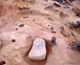 FileNo.164-207.jpg