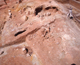 FileNo.164-208.jpg
