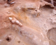 FileNo.164-209.jpg