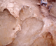 FileNo.164-212.jpg