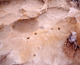 FileNo.164-213.jpg
