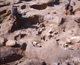 FileNo.164-215.jpg