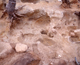 FileNo.164-216.jpg
