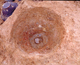 FileNo.164-219.jpg