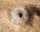 FileNo.164-221.jpg