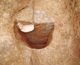 FileNo.164-222.jpg
