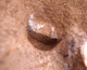 FileNo.164-228.jpg
