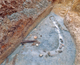 FileNo.164-230.jpg
