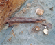 FileNo.164-231.jpg
