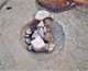 FileNo.164-240.jpg