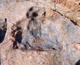 FileNo.164-243.jpg