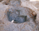 FileNo.164-245.jpg