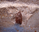 FileNo.164-246.jpg