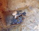 FileNo.164-247.jpg