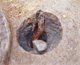 FileNo.164-249.jpg