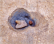 FileNo.164-251.jpg