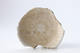 FileNo.164-294.jpg