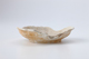 FileNo.164-295.jpg
