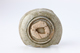 FileNo.164-319.jpg