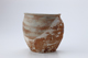 FileNo.164-324.jpg