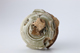 FileNo.164-352.jpg