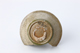 FileNo.164-375.jpg