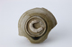 FileNo.164-395.jpg