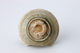 FileNo.164-410.jpg