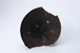 FileNo.164-477.jpg