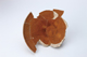 FileNo.164-489.jpg