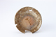 FileNo.164-504.jpg