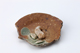 FileNo.164-508.jpg