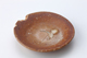 FileNo.164-509.jpg