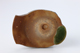 FileNo.164-511.jpg