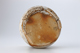 FileNo.164-529.jpg