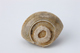 FileNo.164-552.jpg