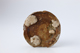 FileNo.164-560.jpg