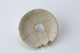 FileNo.164-563.jpg