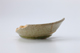 FileNo.164-567.jpg