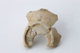 FileNo.164-573.jpg