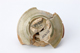 FileNo.164-581.jpg